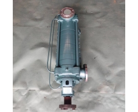 發(fā)往新疆輪臺(tái)縣王總的泵 DF46-30*10不銹鋼泵