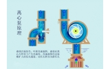 離心泵啟動時，出口閥門必 須關(guān)閉嗎？